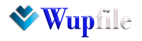 Wupfile search